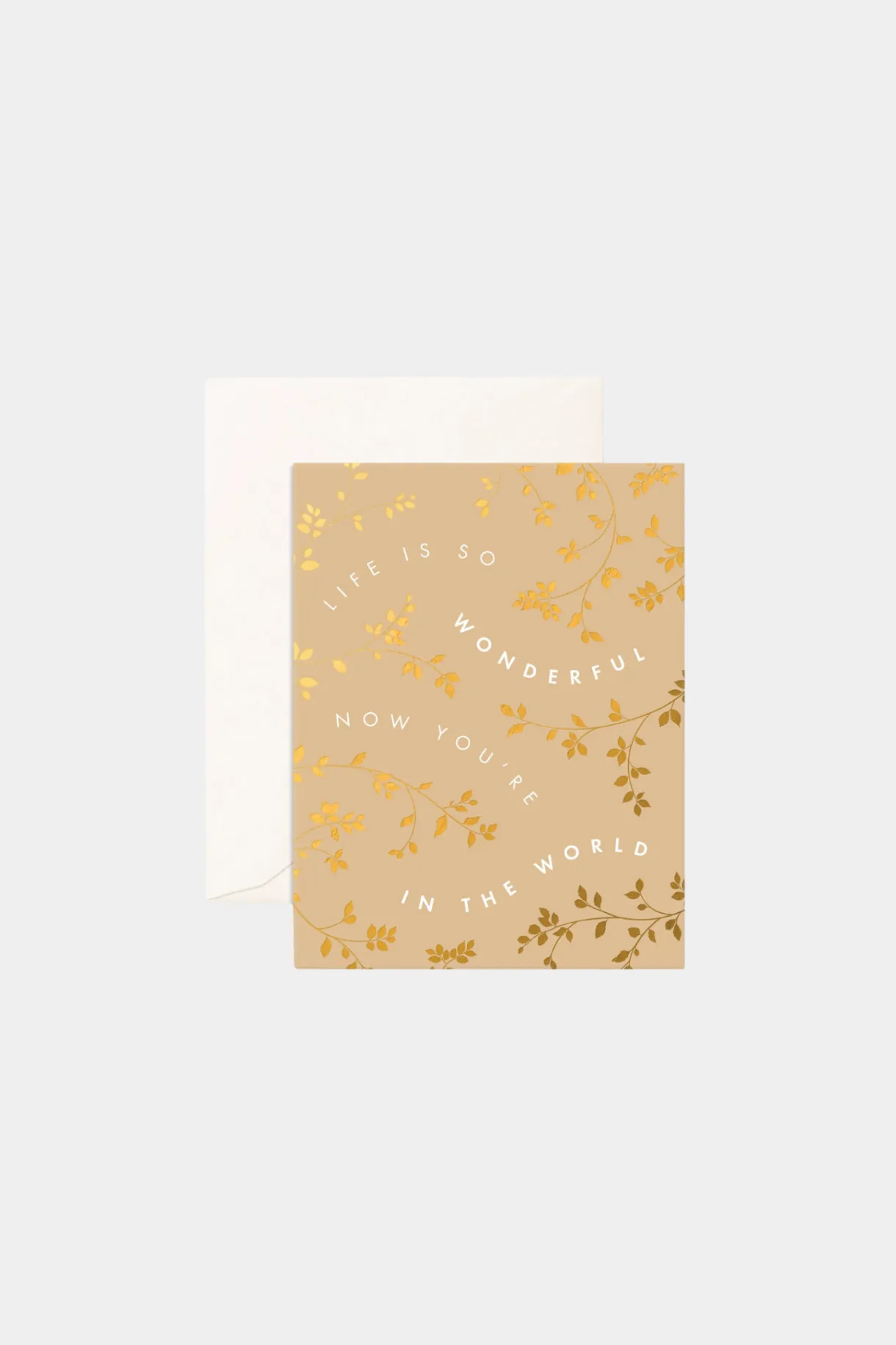 life_is_wonderful_vines_g_0.webp Clearance Fox u0026 Fallow Life Is Wonderful Vines Greeting Card